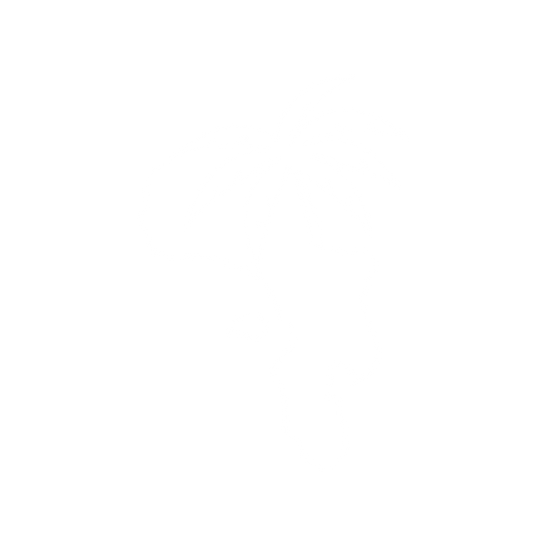 Bonaire Ink Tattoo & Piercing Shop